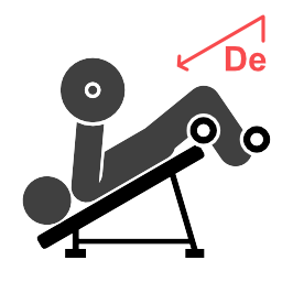 Decline Chest Press - Starting position