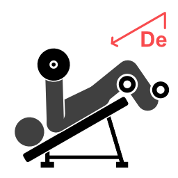 Decline Skull Crusher - Starting position