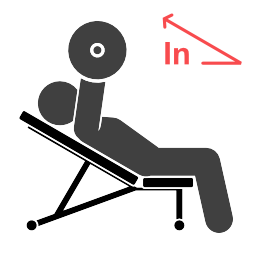 Incline Chest Press - Starting position