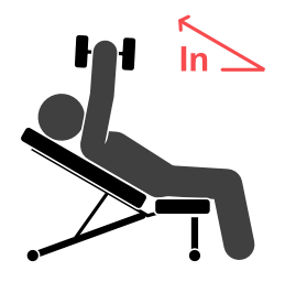 Incline Triceps Press - Starting position