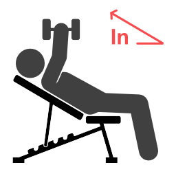 Incline Chest Fly - Starting position