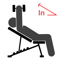 Incline Skull Crusher - Starting position