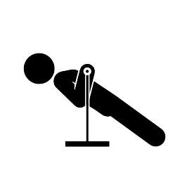 Inverted Row - Contraction (muscle under tension)