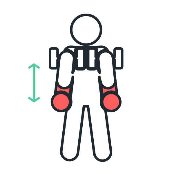 Rotating Biceps Curl